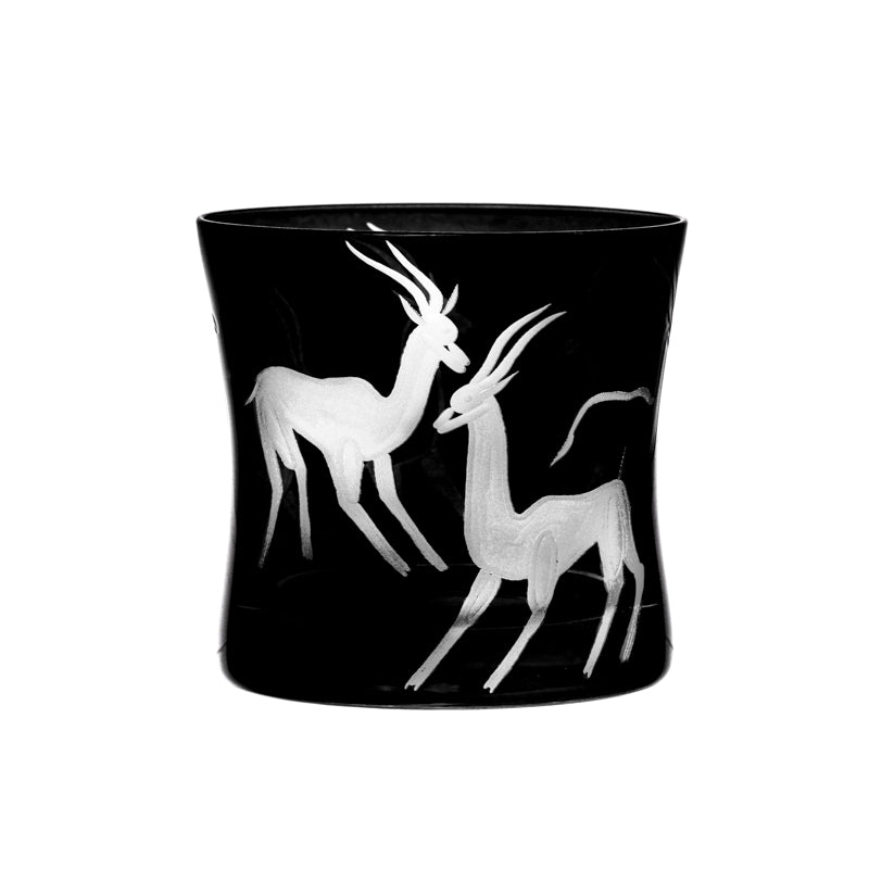 Safari Gazelles