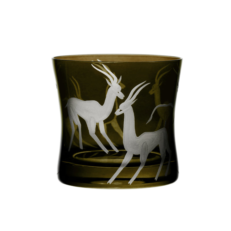 Safari Gazelles