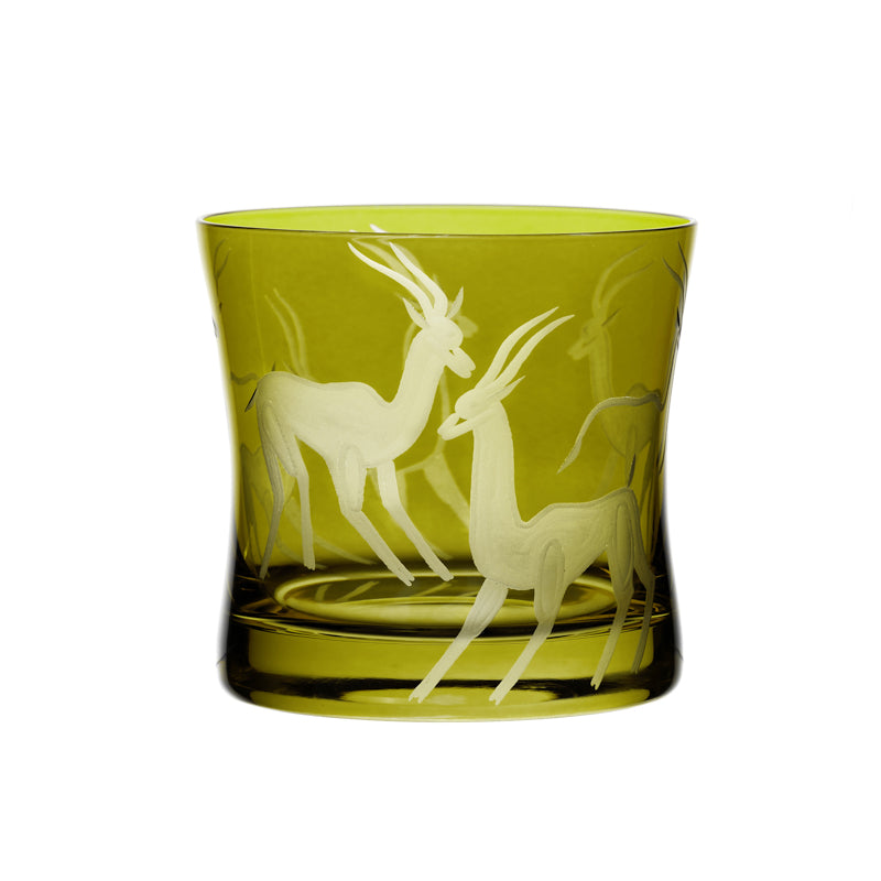 Safari Gazelles