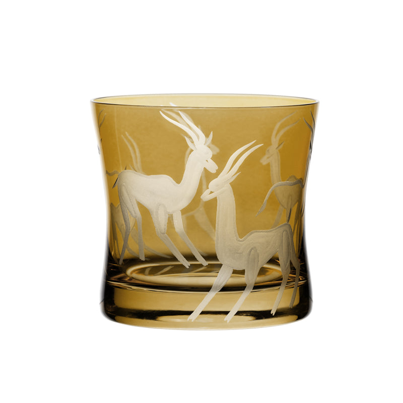 Safari Gazelles
