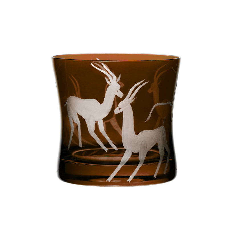 Safari Gazelles