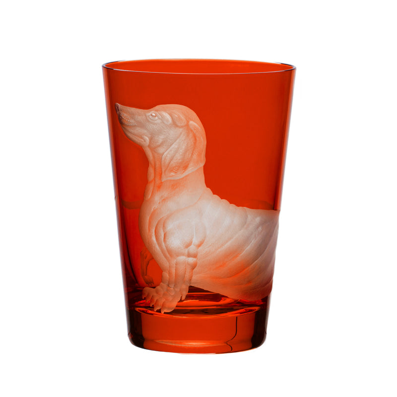 Dog Dachshund