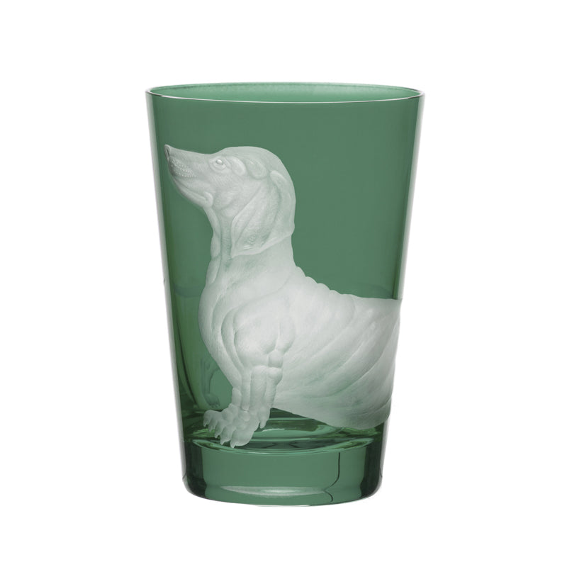 Dog Dachshund