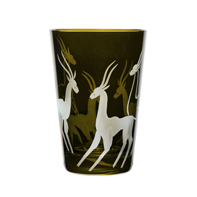 Safari Gazelles