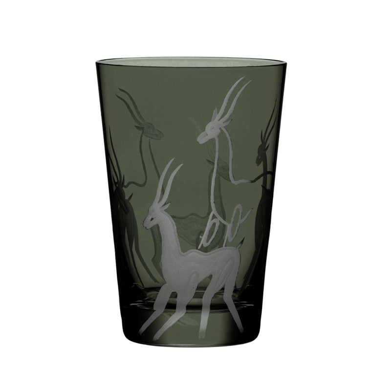 Safari Gazelles