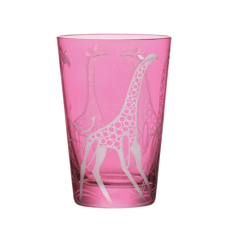 Safari Giraffes