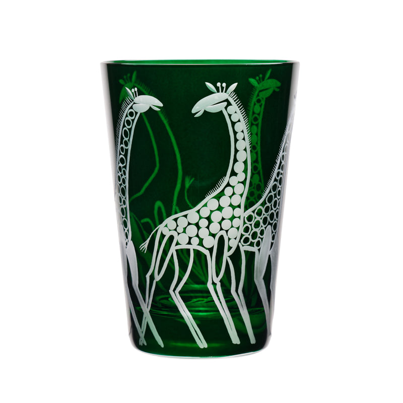 Safari Giraffes