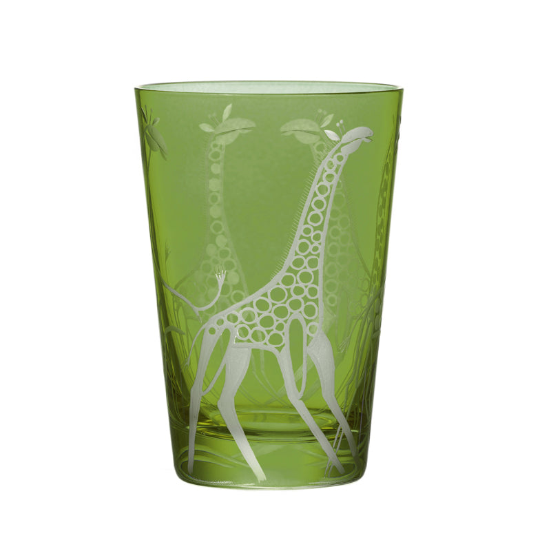 Safari Giraffes