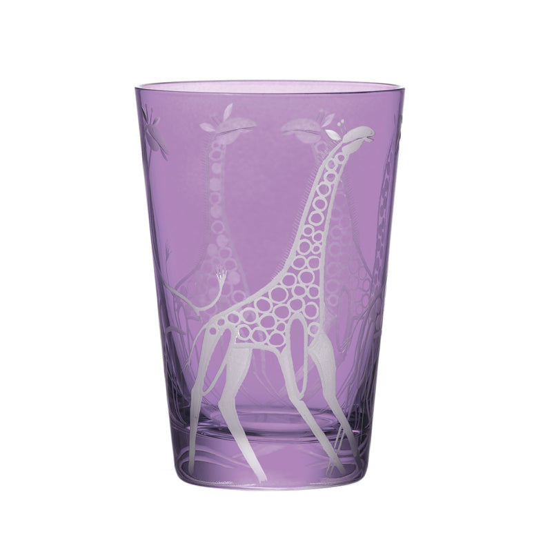 Safari Giraffes