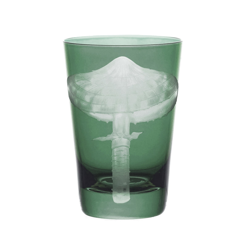 Mushrooms Parasol