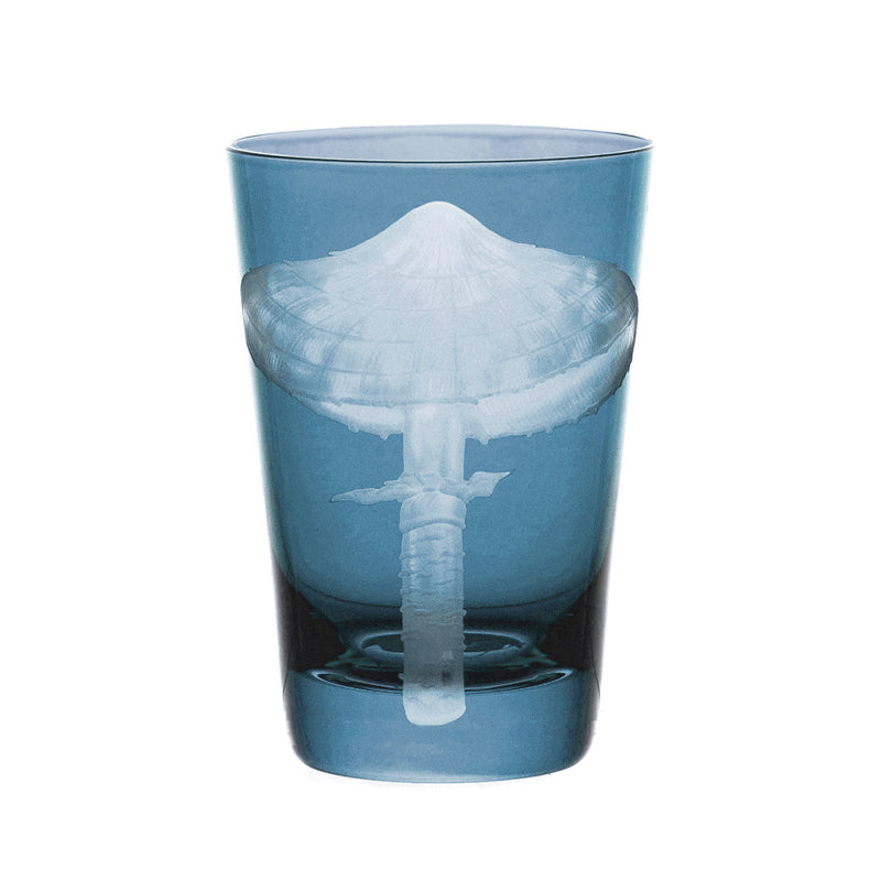 Mushrooms Parasol