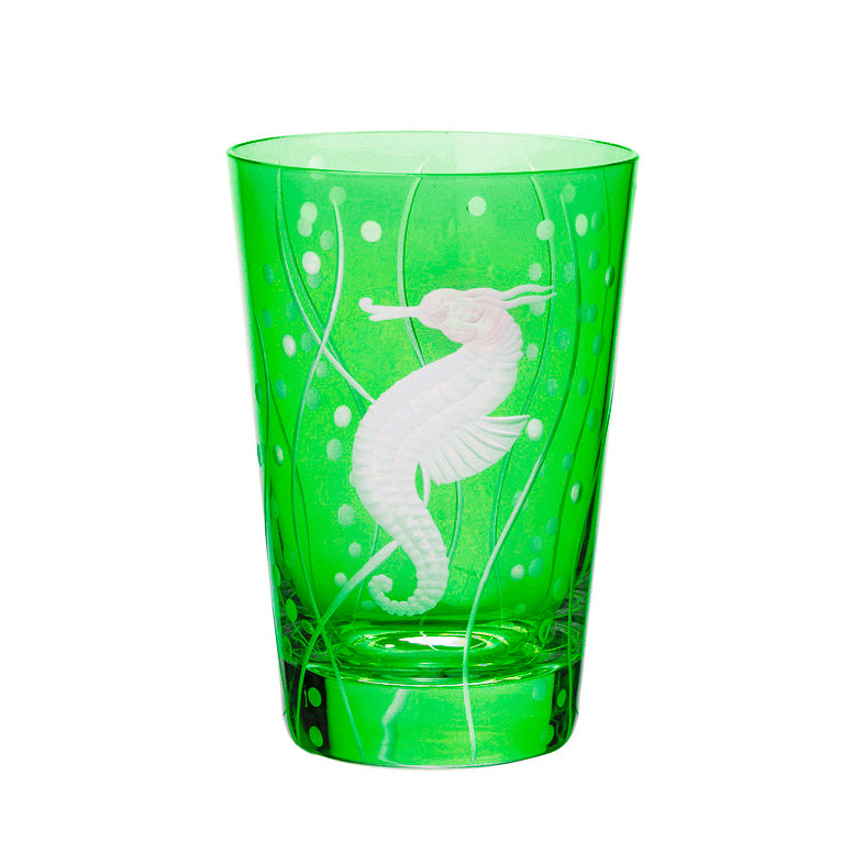 Sea Life Seahorse