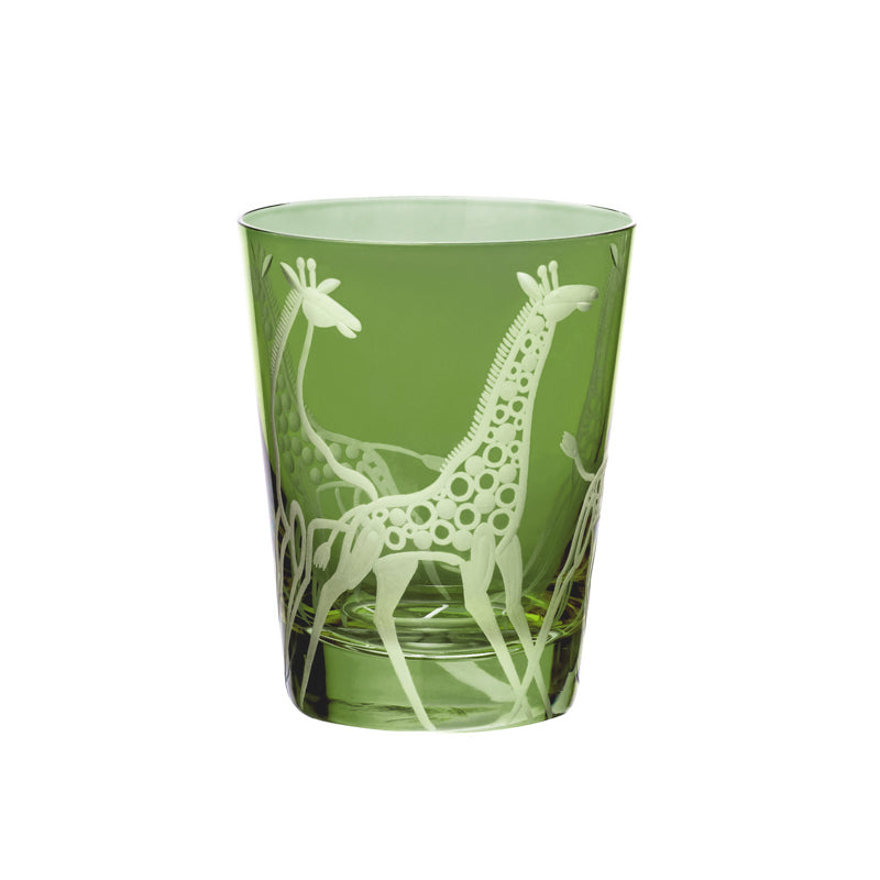 Safari Giraffes