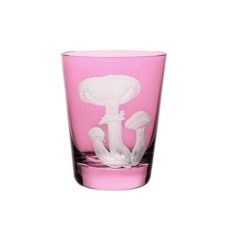 Mushrooms Honey Fungus
