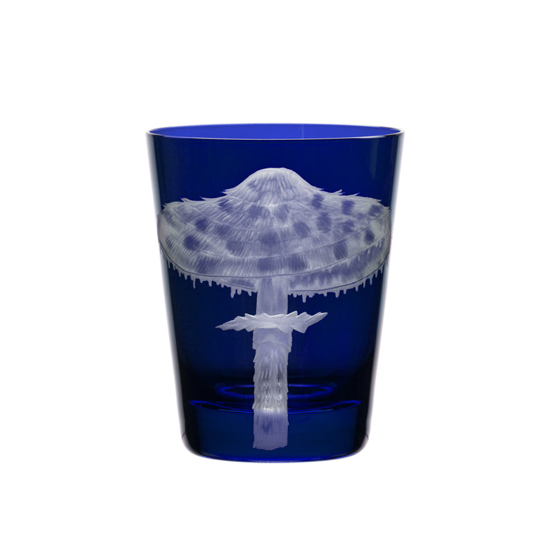 Mushrooms Parasol