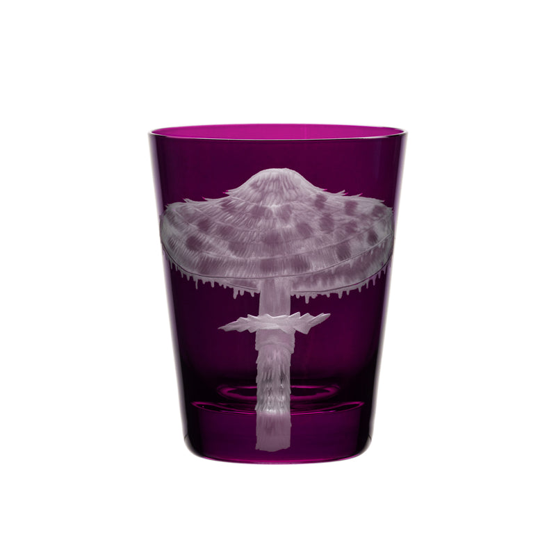 Mushrooms Parasol