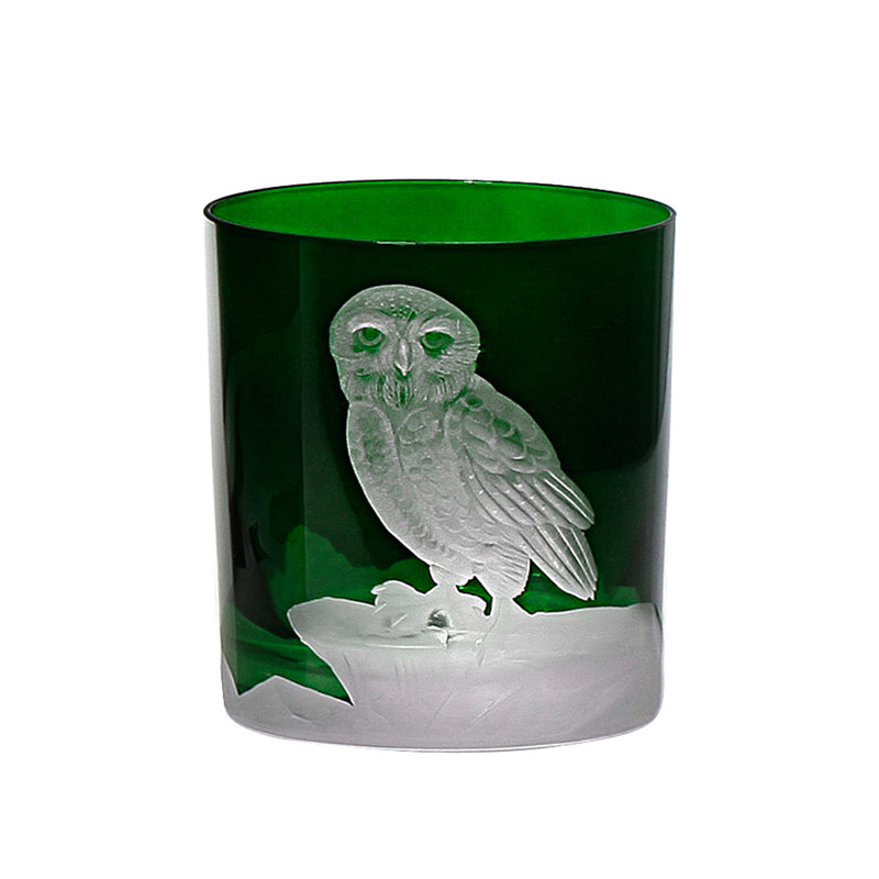 Arctic Snow Owl