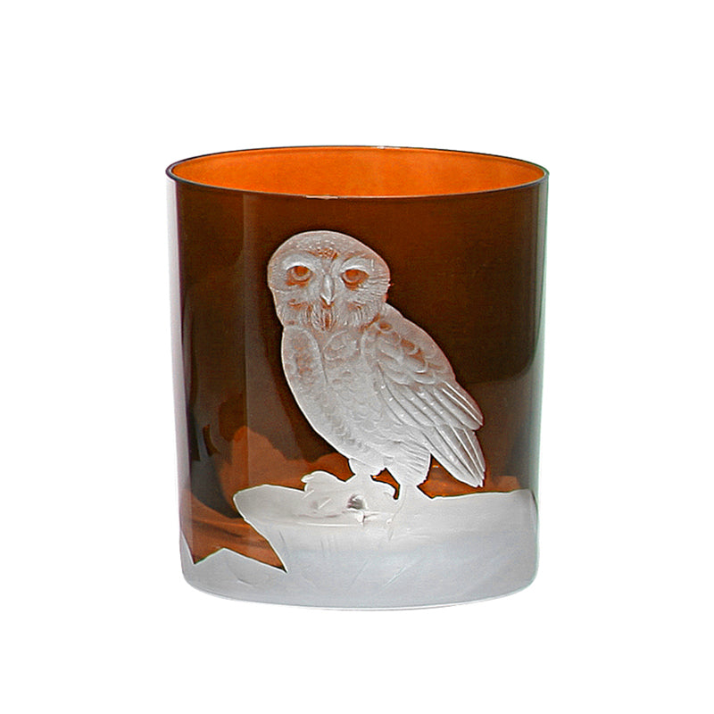Arctic Snow Owl