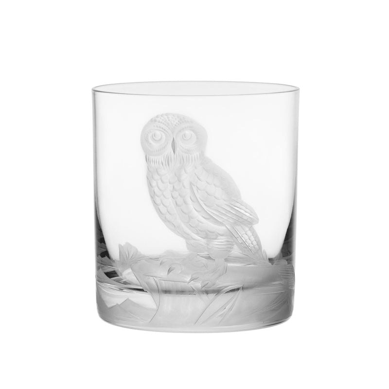 Arctic Snow Owl