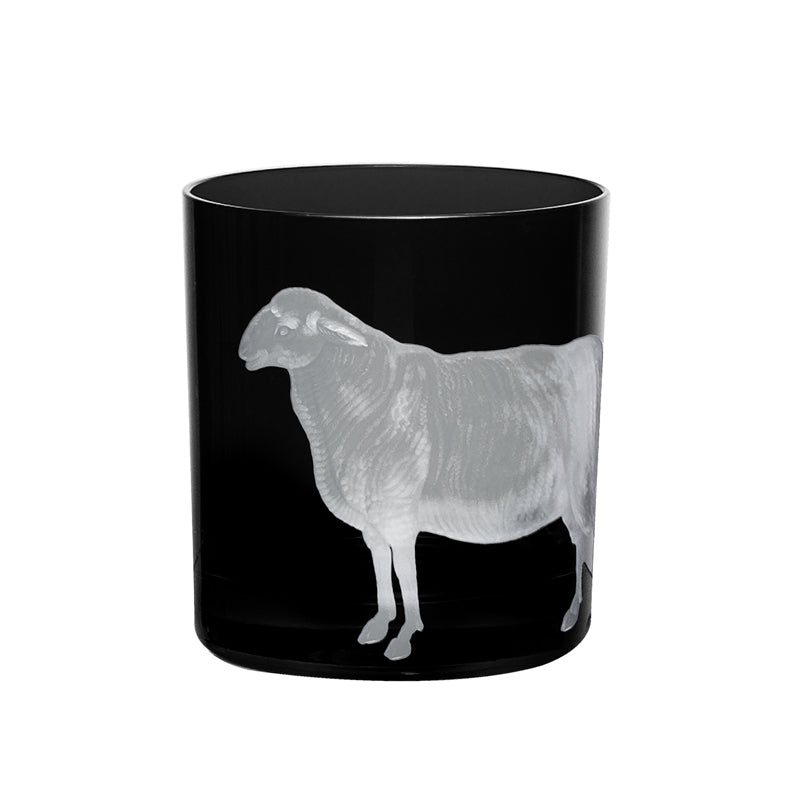 Barnyard Sheep
