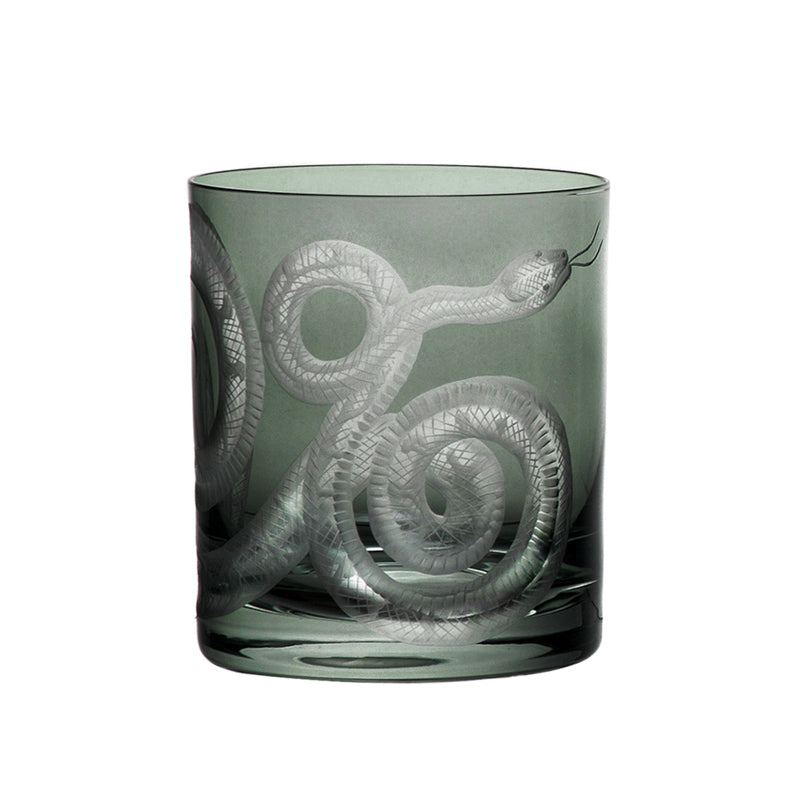 Cabinet of Curiosities Snake