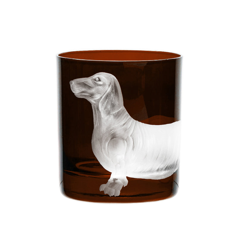 Dog Dachshund
