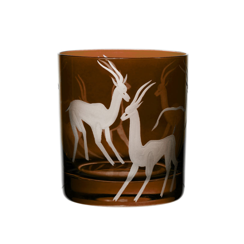 Safari Gazelles