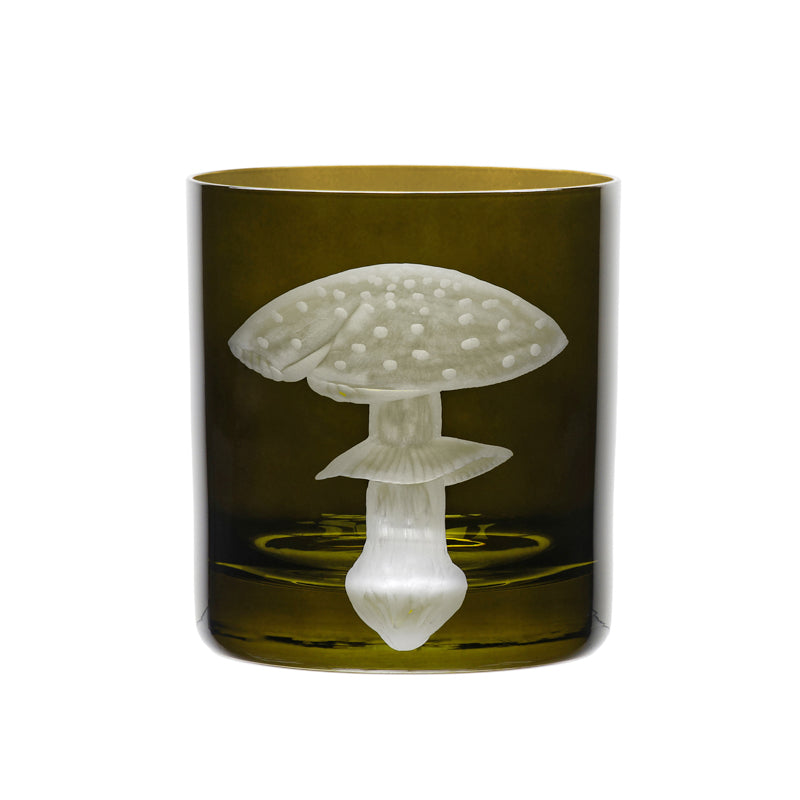 Mushrooms Fly Amanita