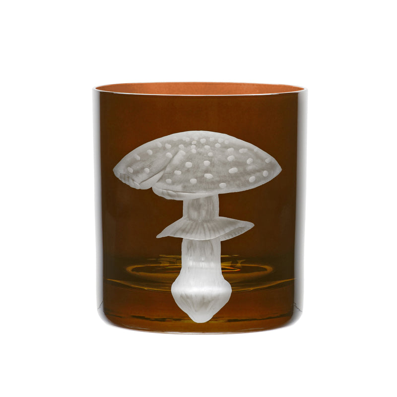 Mushrooms Fly Amanita