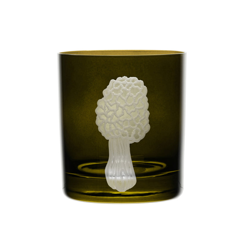 Mushrooms Morel