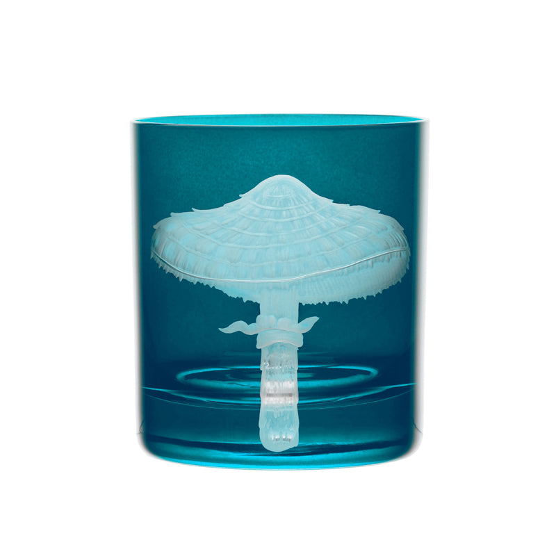 Mushrooms Parasol