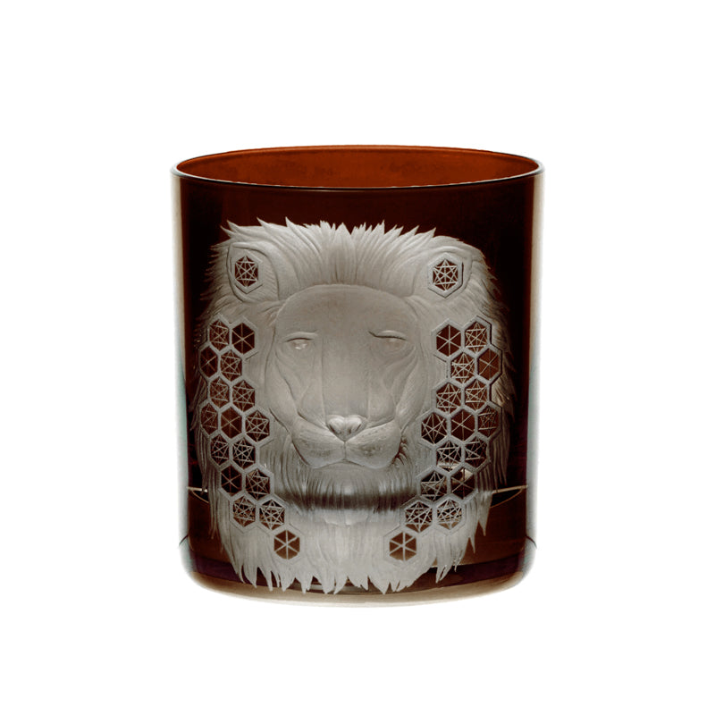 African Safari Lion