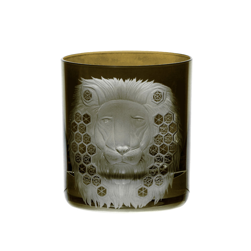 African Safari Lion