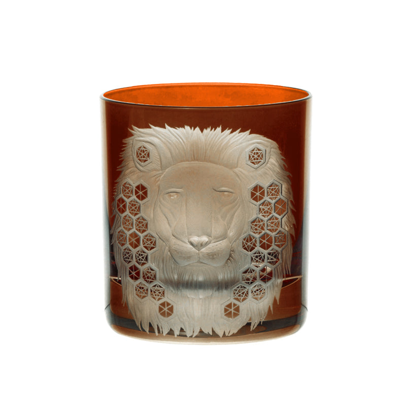 African Safari Lion