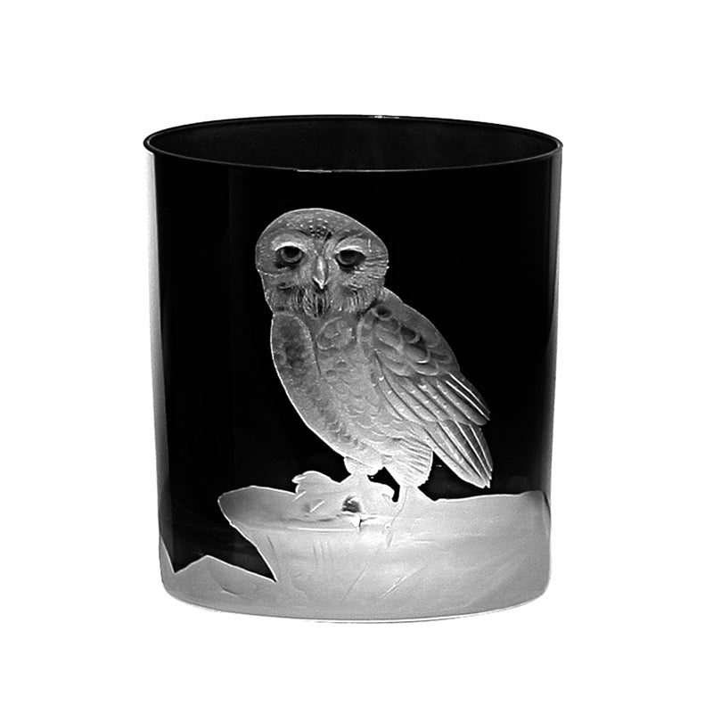 Arctic Snow Owl