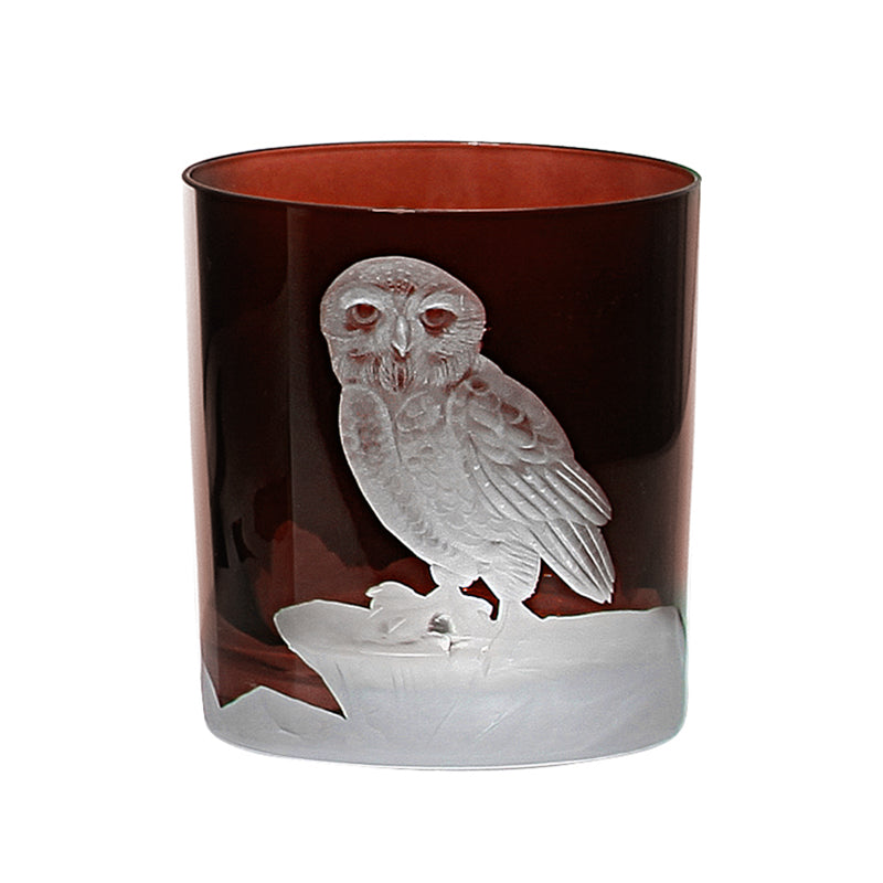 Arctic Snow Owl
