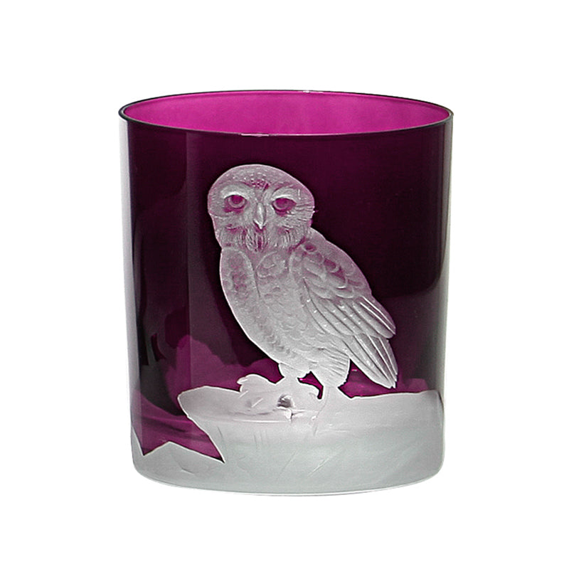 Arctic Snow Owl
