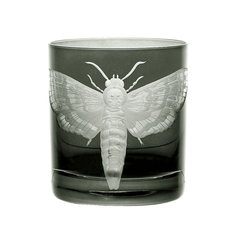 Cabinet of Curiosities Butterfly