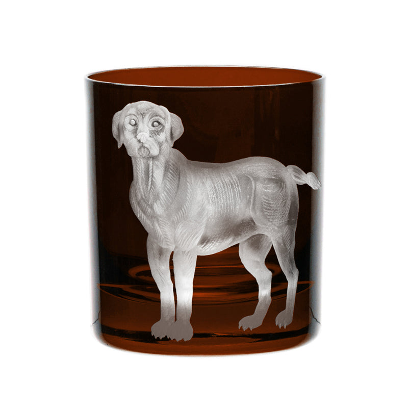 Dog Labrador