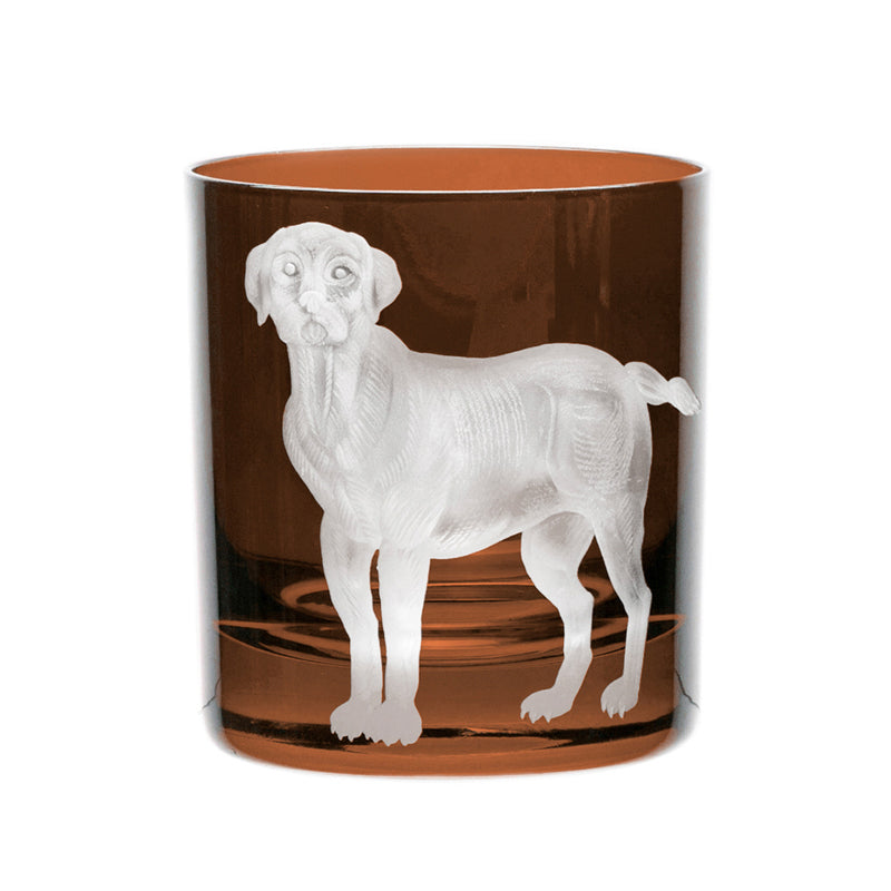 Dog Labrador