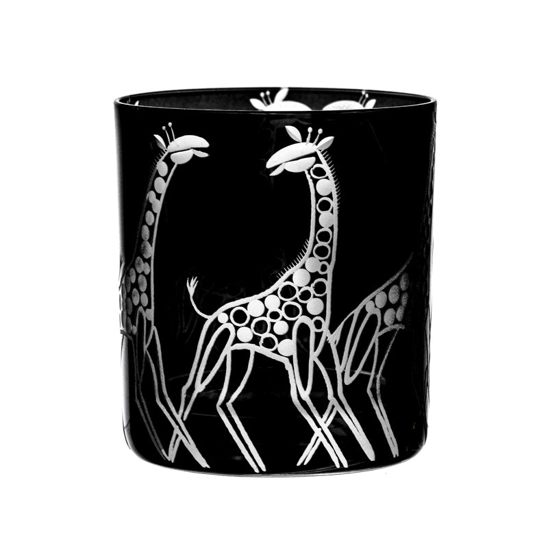 Safari Giraffes