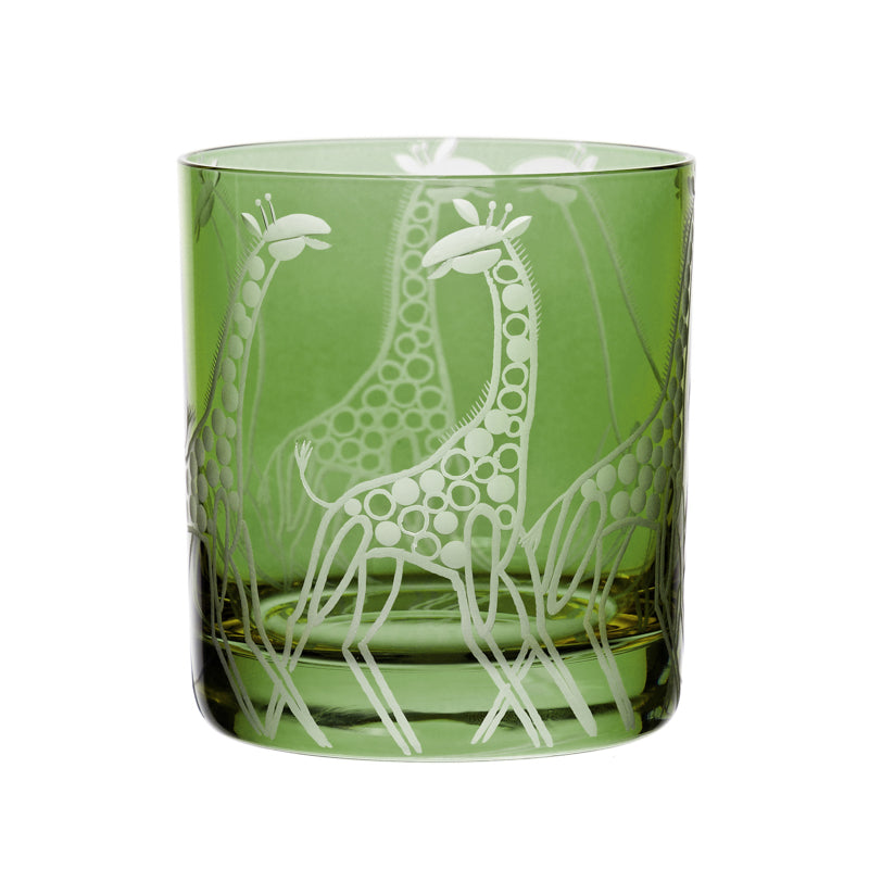 Safari Giraffes