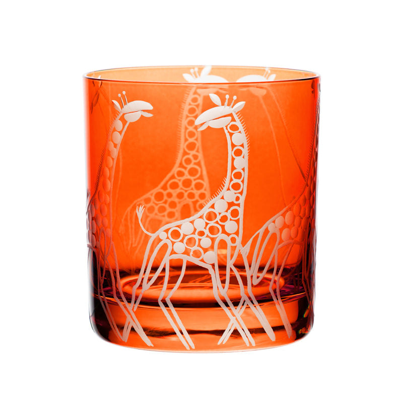 Safari Giraffes