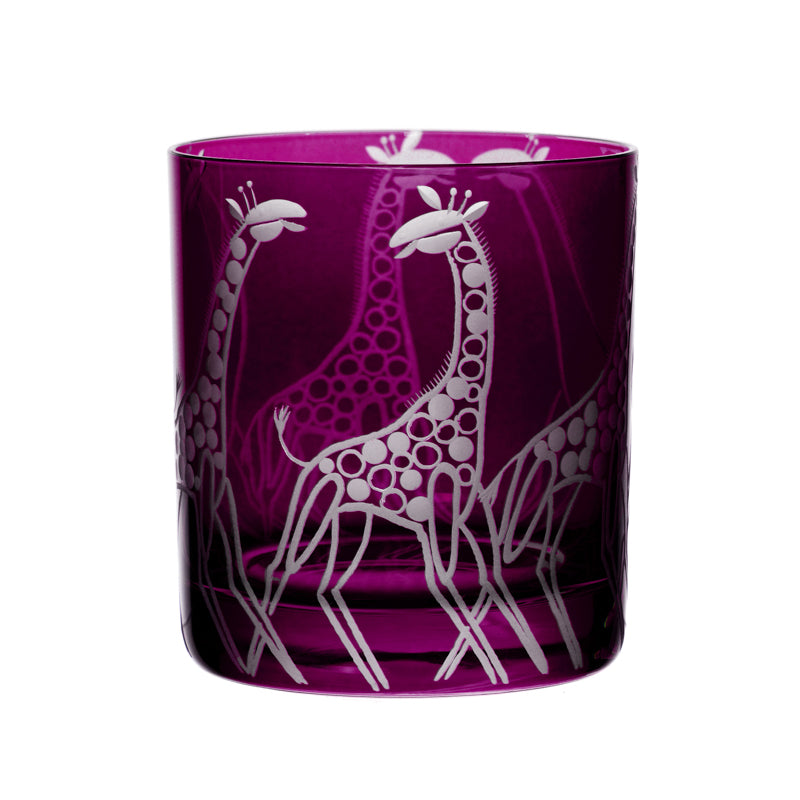 Safari Giraffes