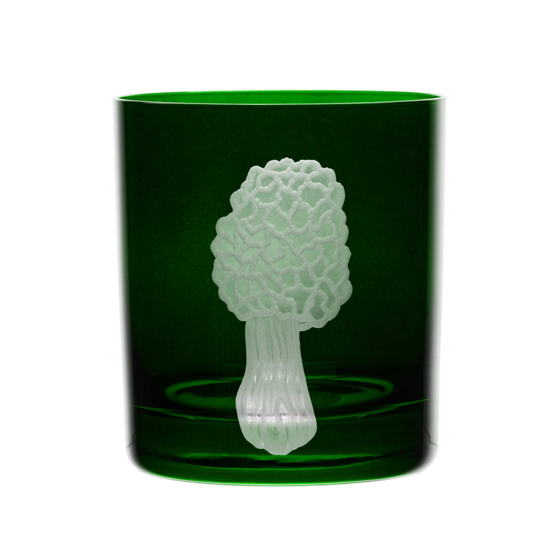 Mushrooms Morel