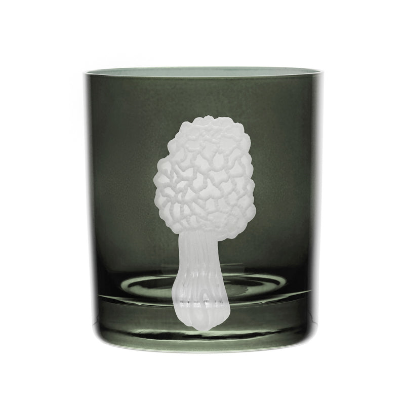 Mushrooms Morel