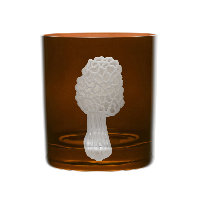 Mushrooms Morel