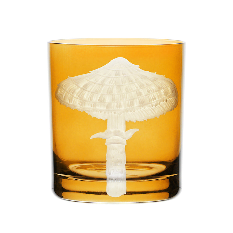 Mushrooms Parasol