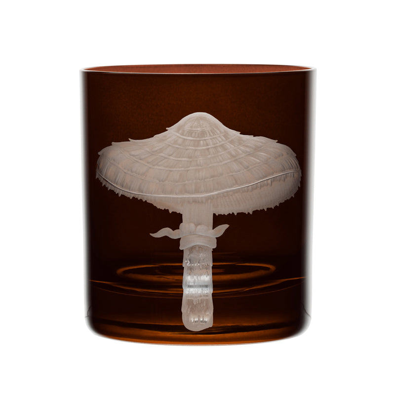 Mushrooms Parasol