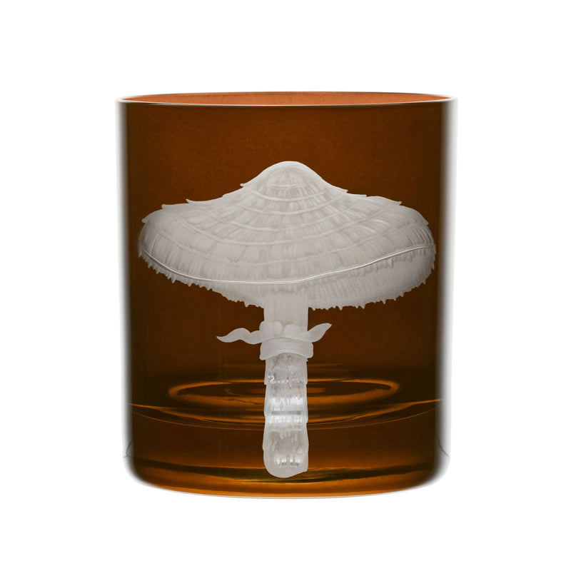 Mushrooms Parasol